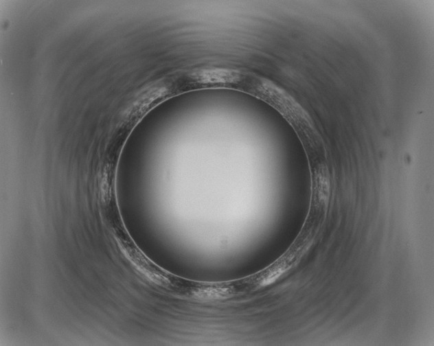 X0000087590422200704271312