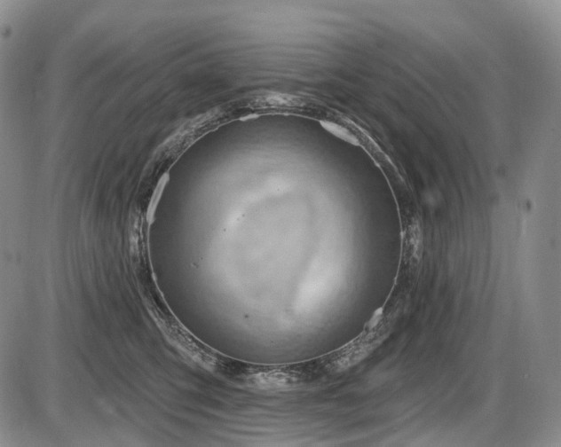 X0000087590423200704271312