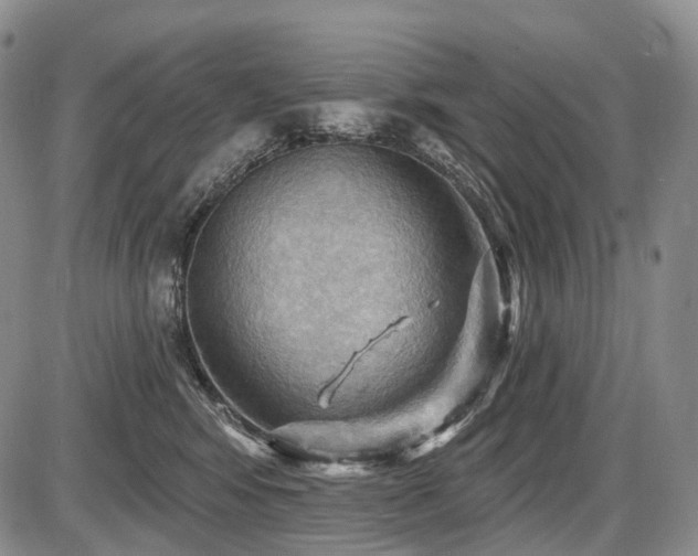 X0000087590424200704271312