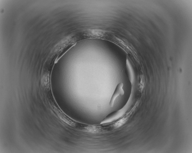 X0000087590425200704271312