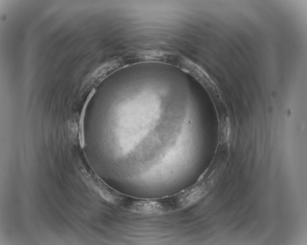 X0000087590427200704271312