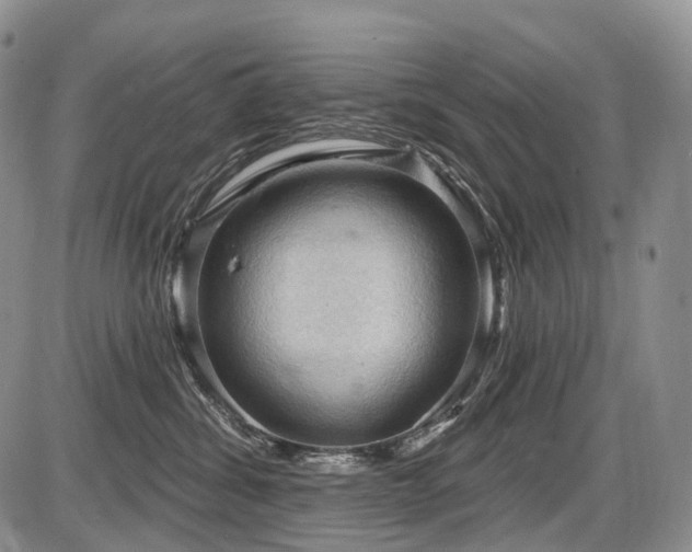 X0000087590428200704271312