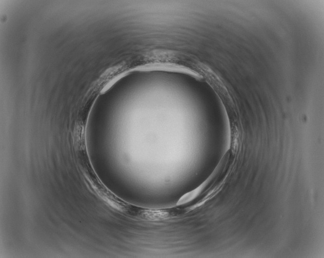 X0000087590429200704271312