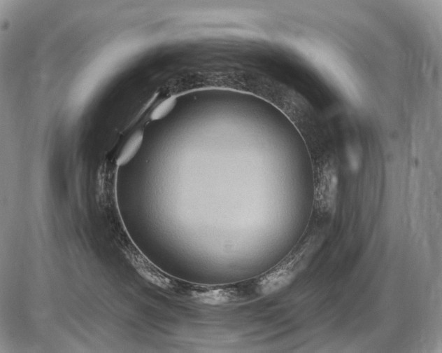 X0000087590430200704271312