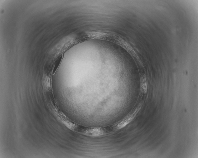 X0000087590431200704271312