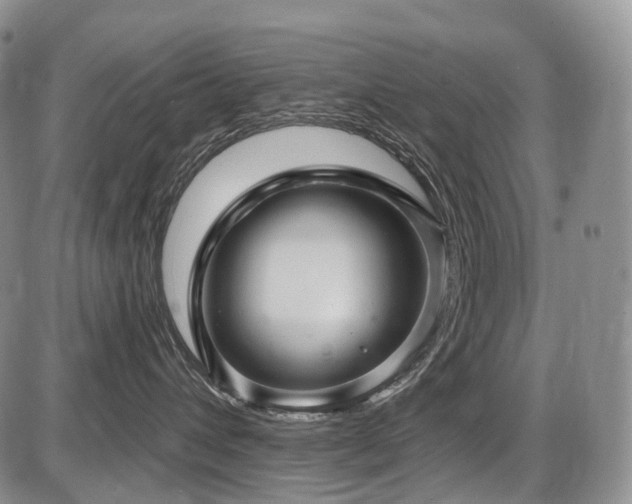 X0000087590432200704271312