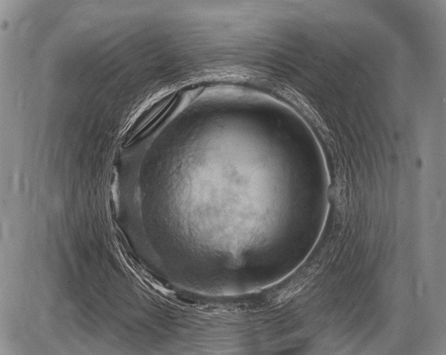 X0000087590434200704271311