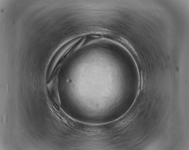 X0000087590435200704271311