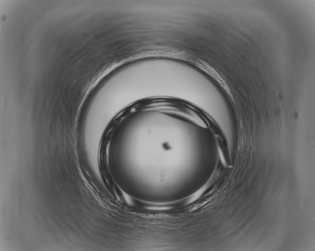 X0000087590436200704271311