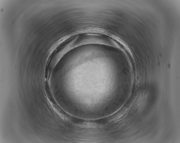 X0000087590437200704271311