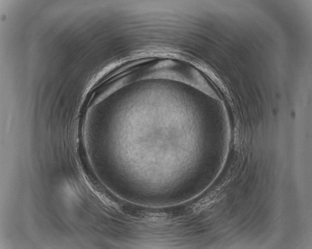 X0000087590438200704271311