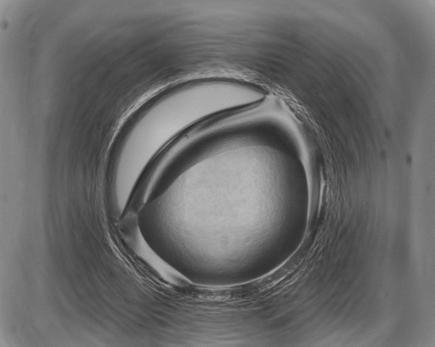 X0000087590440200704271311