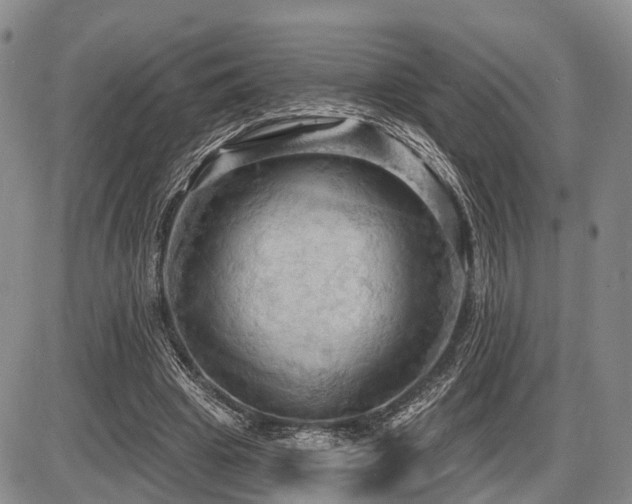 X0000087590441200704271311