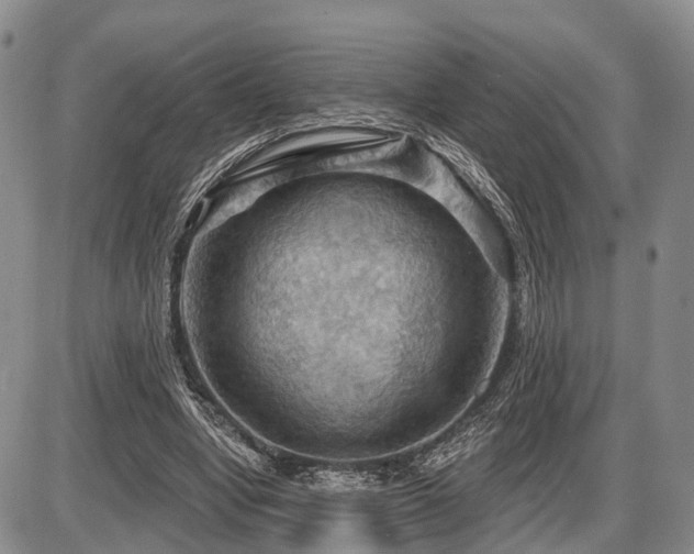 X0000087590442200704271311