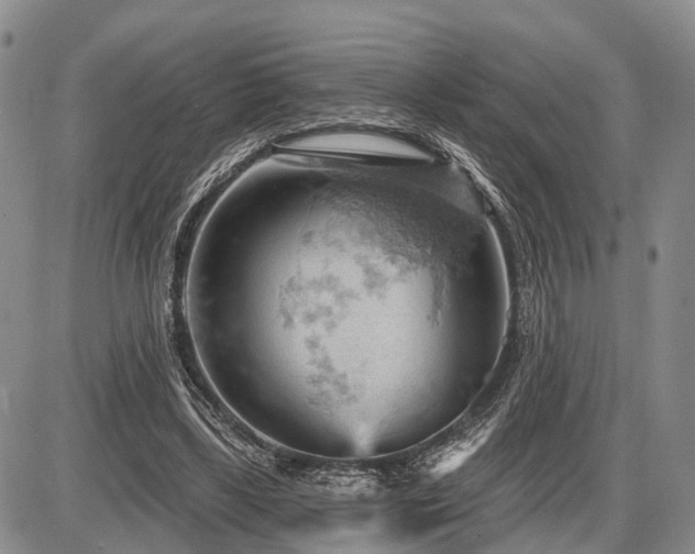 X0000087590443200704271311