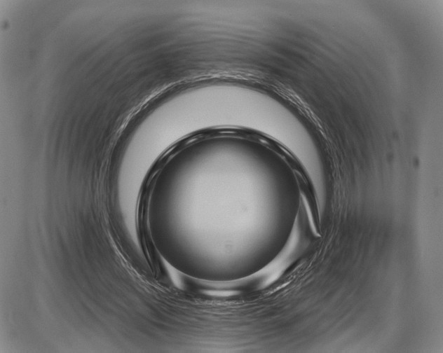 X0000087590444200704271311