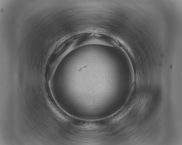 X0000087590445200704271311