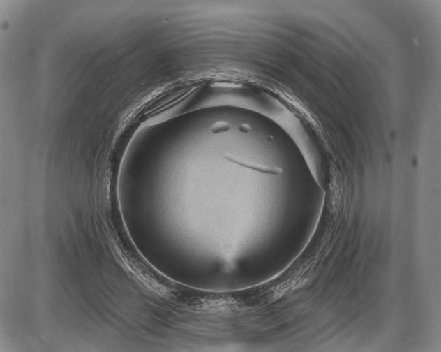 X0000087590446200704271311