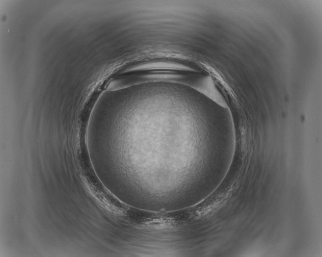 X0000087590447200704271311