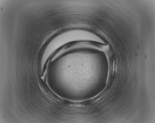 X0000087590448200704271311