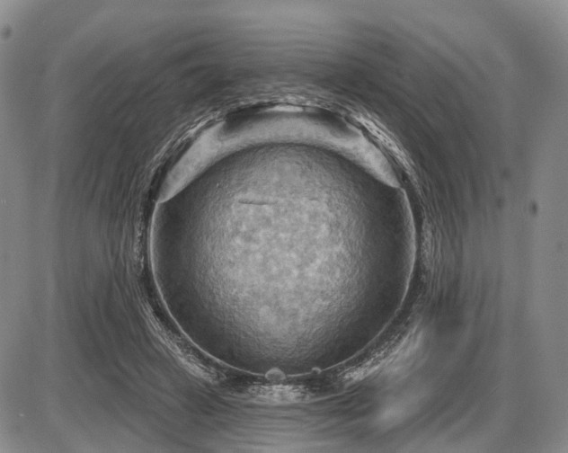 X0000087590449200704271311