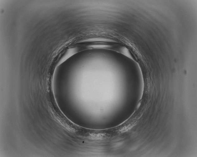 X0000087590450200704271311