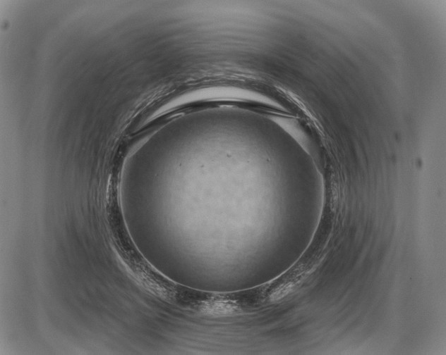 X0000087590451200704271311