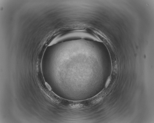 X0000087590452200704271311