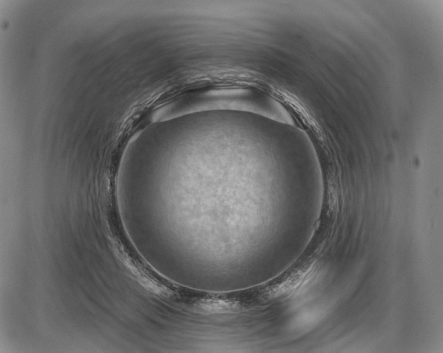 X0000087590453200704271311