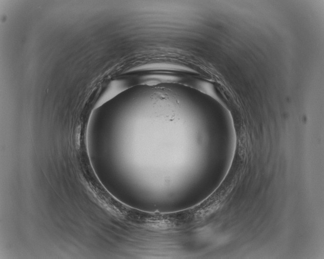 X0000087590454200704271311