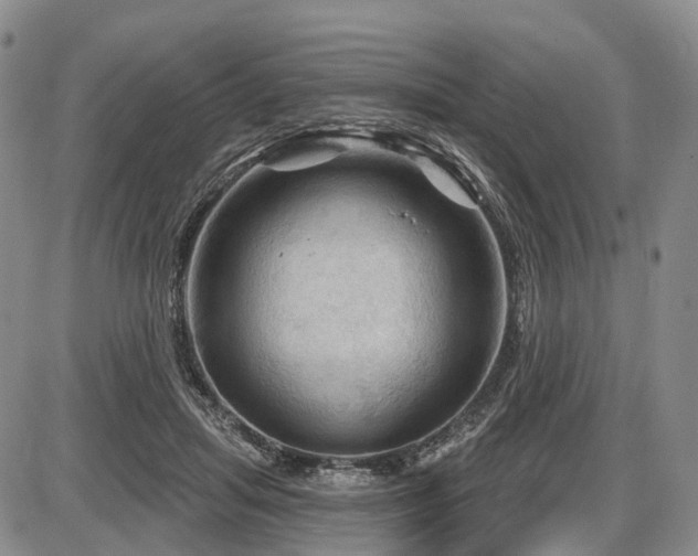 X0000087590455200704271311