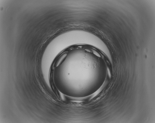 X0000087590456200704271311