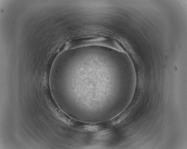 X0000087590457200704271311