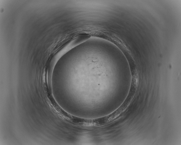 X0000087590458200704271311