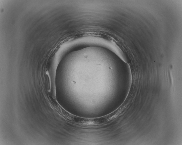 X0000087590460200704271311