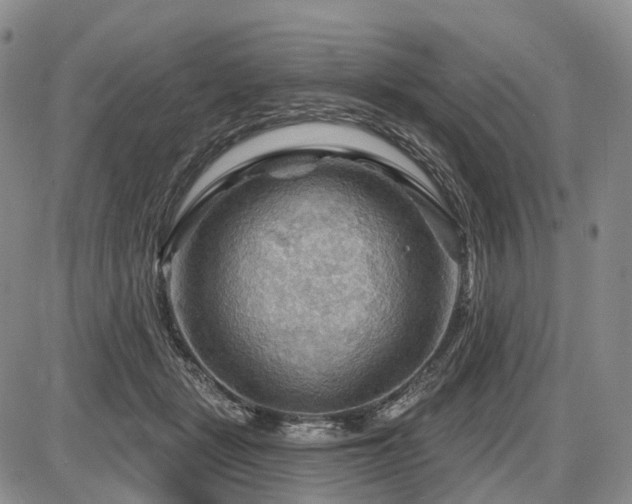 X0000087590461200704271311