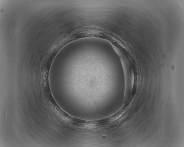 X0000087590462200704271311