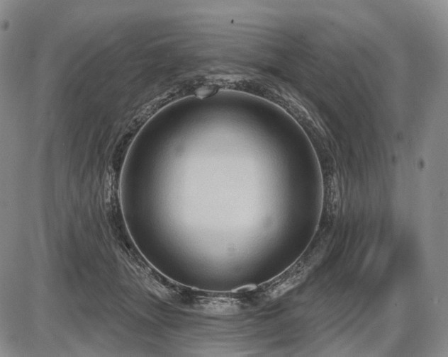 X0000087590463200704271311