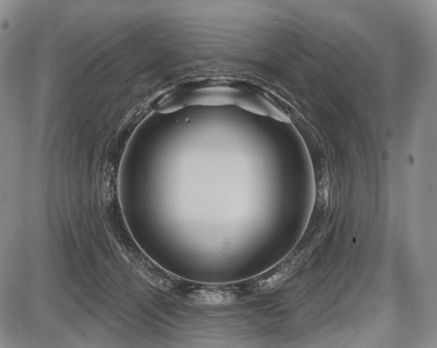 X0000087590464200704271311