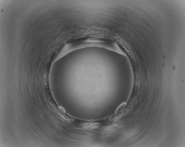 X0000087590465200704271311