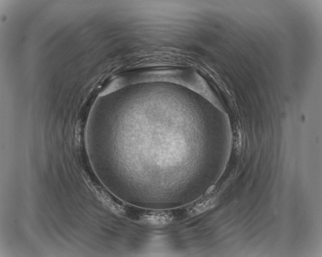 X0000087590466200704271312