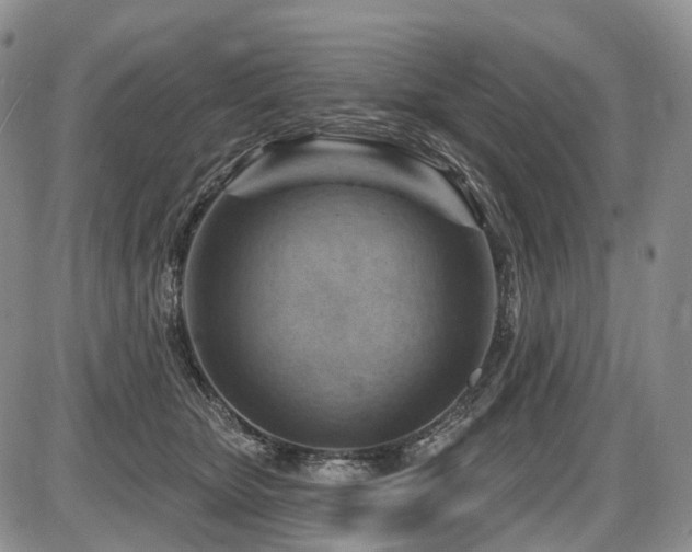 X0000087590467200704271312