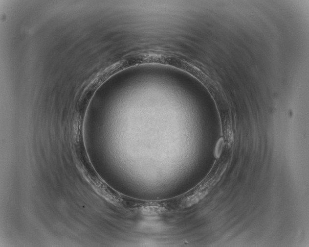 X0000087590468200704271312