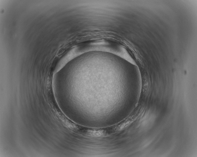 X0000087590469200704271312