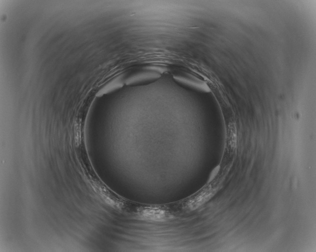 X0000087590471200704271312