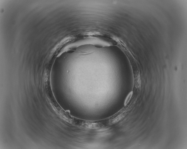 X0000087590472200704271312