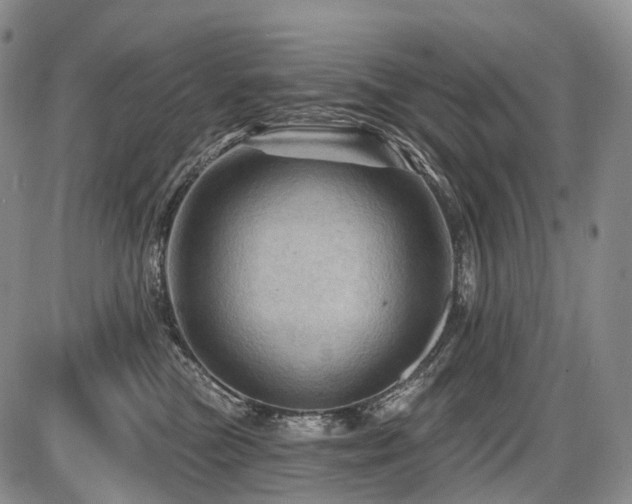 X0000087590473200704271312