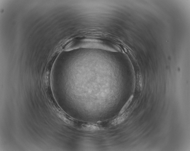 X0000087590475200704271312