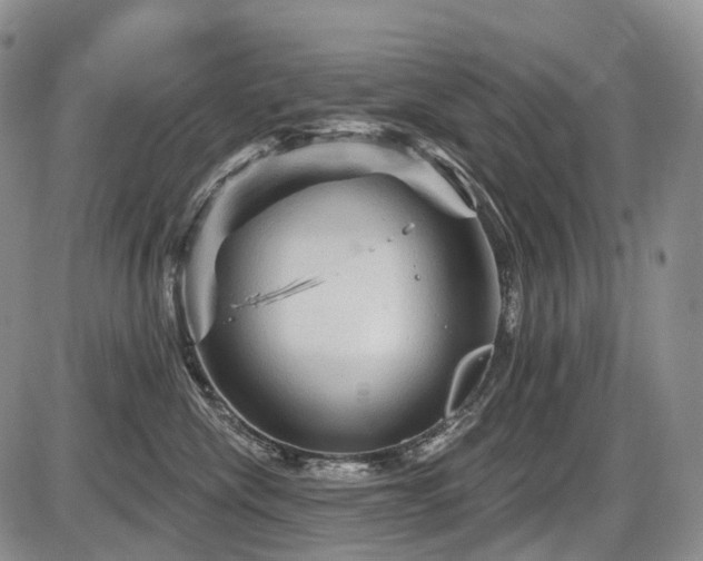 X0000087590476200704271312