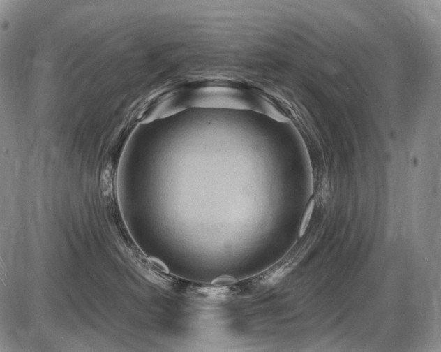 X0000087590478200704271312